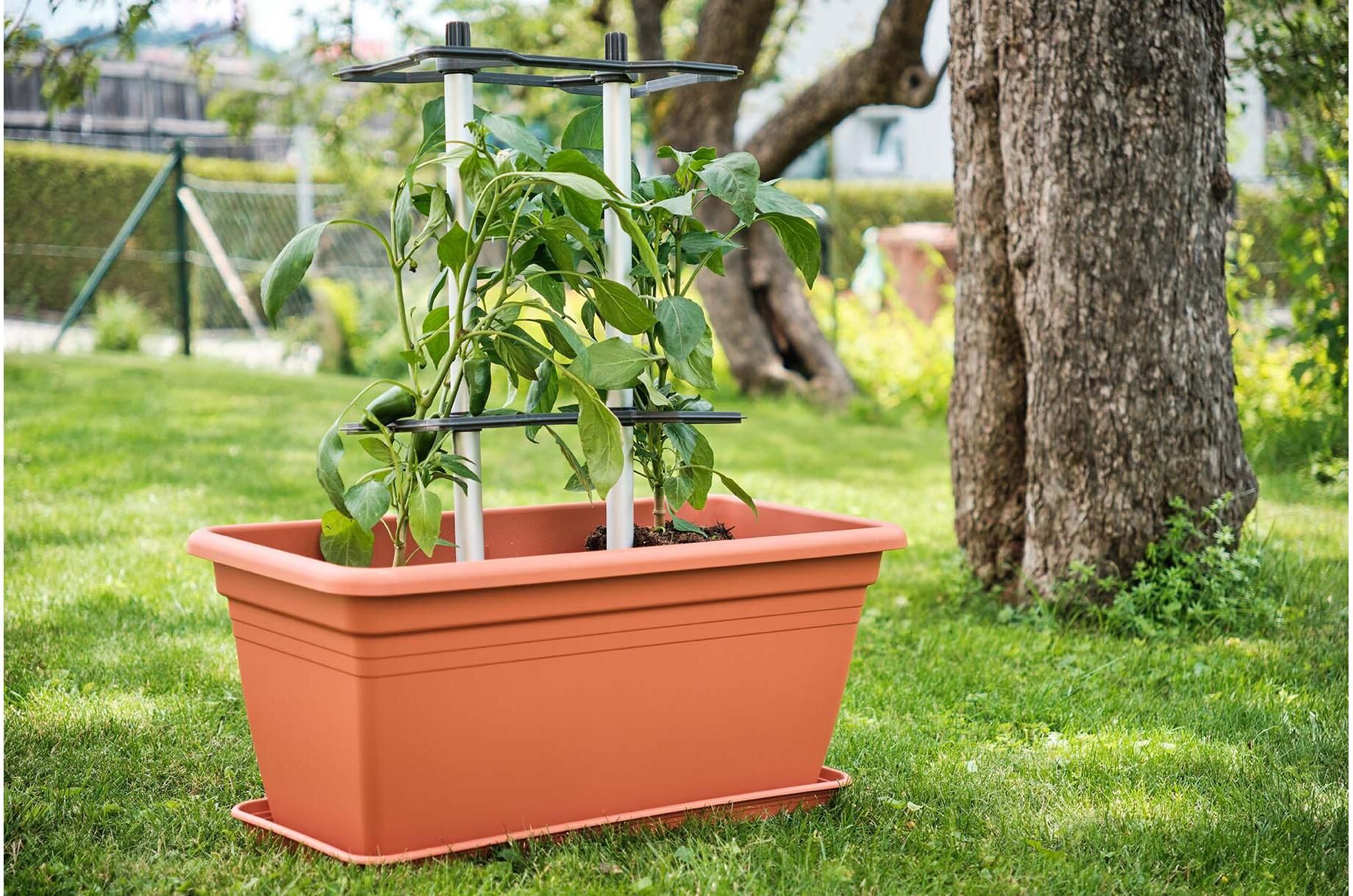Rankhilfe GUSTA GARDEN "CHILI BUDDY Rankhilfe für Chilis & Paprika im 3erSetSilber", silber (silberfarben), B:22,2cm H:15,3cm T:32,2cm, Rankhilfen, Rankhilfe silberfarben B/H/T: 22,2cm x 15,3cm x 32,2cm