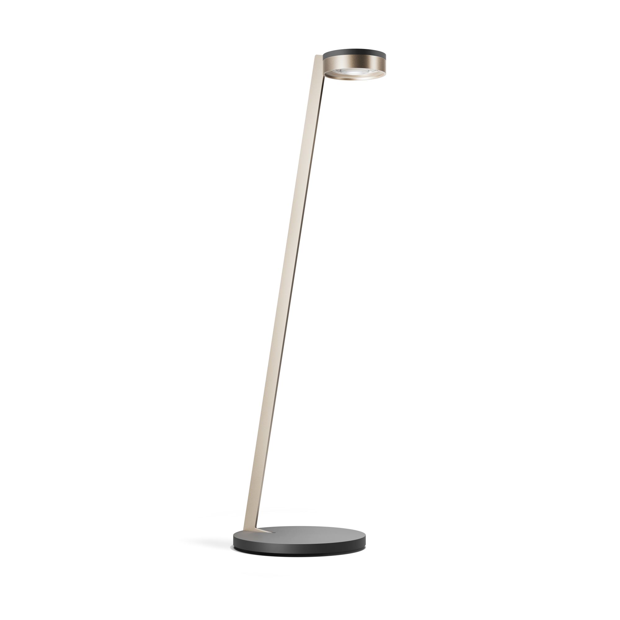 Light-Point LED-Leseleuchte BLADE F1 SLIM schwarz/gold 900160 5711389001360