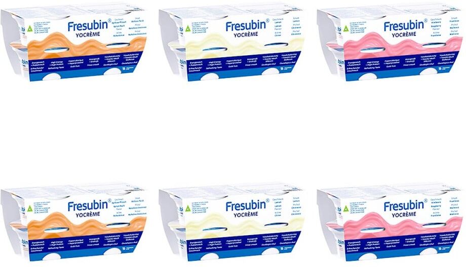 Fresubin Yocreme Mischkarton