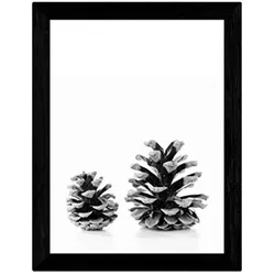 POSTER Pinecone – Schwarz-Weiß A3 Rahmenlos