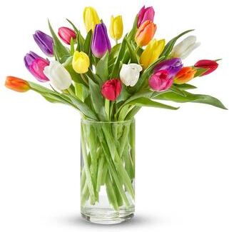 From You Flowers Rainbow Tulip Bouquet