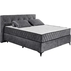 ED LIFESTYLE Boxspringbett KIMBERLEY