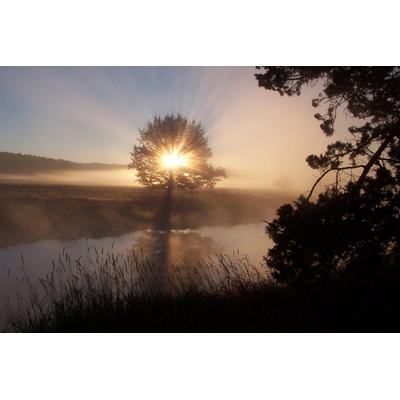 Fototapete PAPERMOON "Fluss Sonnenaufgang", bunt, B:4m L:2,6m, Vlies, Tapeten