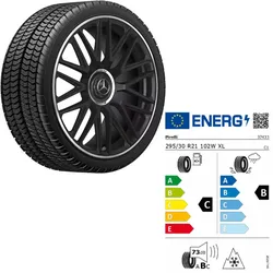 295/30 R21 102W XL Mercedes-AMG SL63 SL43 R232 Schmiederad Winterkomplettrad Pir