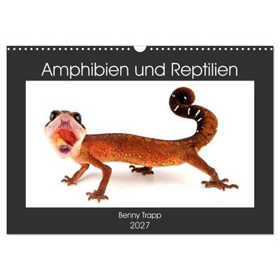 Amphibien und Reptilien (Wandkalender 2027 DIN A3 quer), CALVENDO Monatskalender