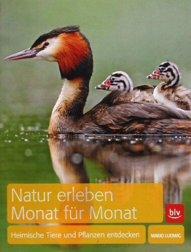 Mario Ludwig - Natur erleben Monat für Monat: Heimische Tiere und Pflanzen entdecken - Preis vom 09.10.2026 07:28:09 h