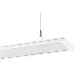Performance in Light LED-Pendelleuchte 3113303