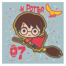 Ideyka Malen nach Zahlen - Harry Potter (78585721)