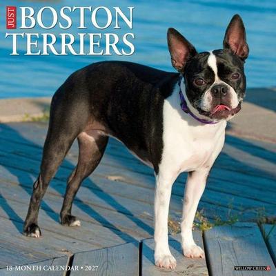 Boston Terriers 2027 12 X 12 Wall Calendar