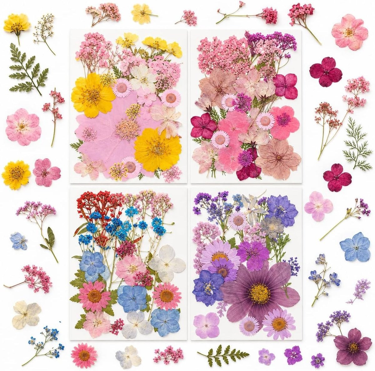 Set van 100 stuks kleurrijke gedroogde bloemen voor decoratie en DIY-projecten