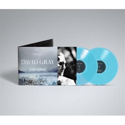 Life in Slow Motion -Deluxe 20th Anniversary Editi - David Gray, Vinyl