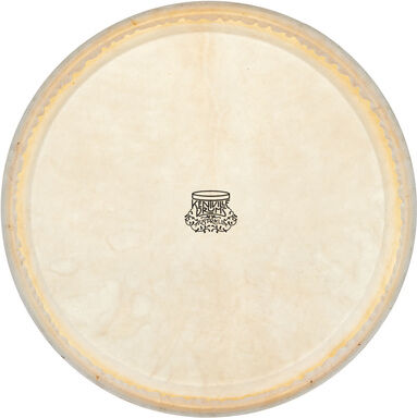 "Thomann 11"" Conga kangaroo head "