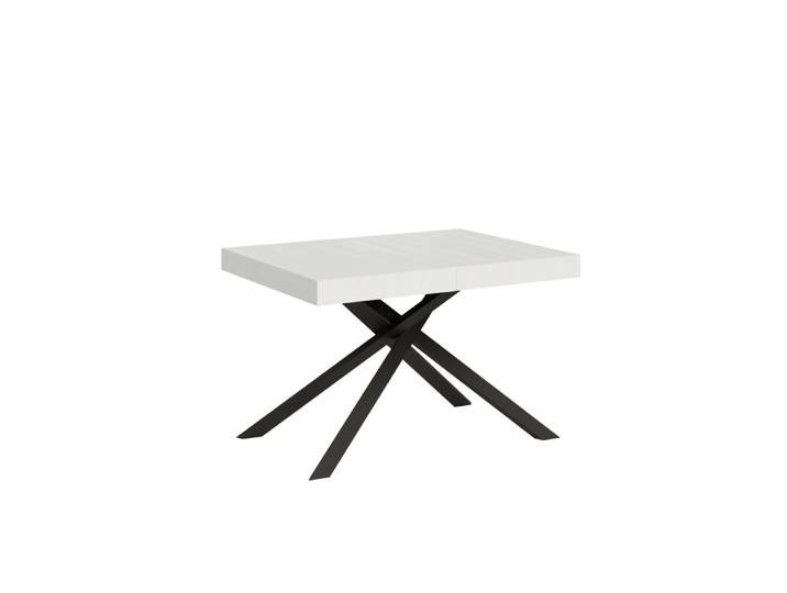 Table extensible 80x120/204 cm effet bois frêne blanc