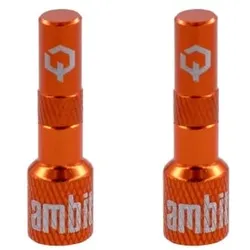 AMBIT Tubeless Ventil Adapter Set Realm | orange