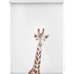 Lichtblick Rollo Klemmfix, ohne Bohren, blickdicht, Giraffe - Braun