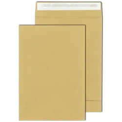 Mailmedia, Versandtasche + Luftpolstertasche, Versandtasche B4 250ST 140g braun (250 Stk.)