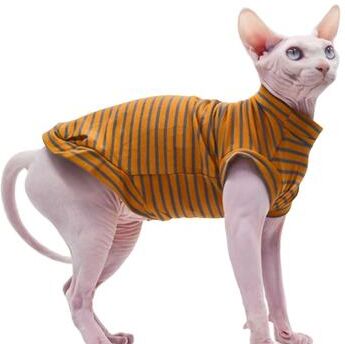 Inspired Living Soft Cotton Sphynx Cat Clothes Summer Vest l