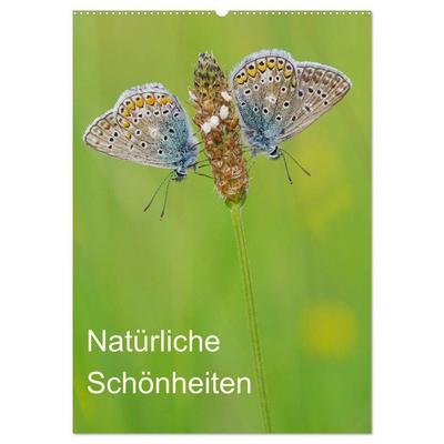 Insekten,Schönheiten der Natur (Wandkalender 2027 DIN A2 hoch), CALVENDO Monatskalender