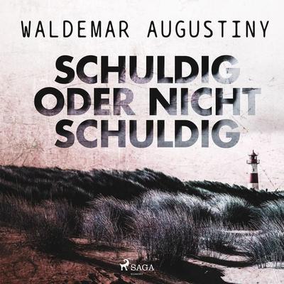 Schuldig oder nicht schuldig (Ungekürzt) - Waldemar Augustiny, Audio, 9788711978801