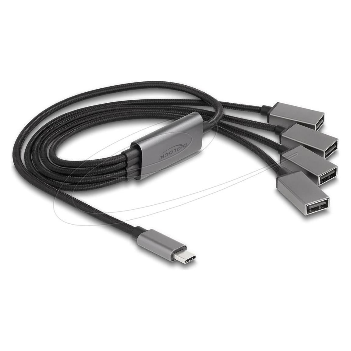 Delock Hub (USB-C, 4 Ports) (64210)
