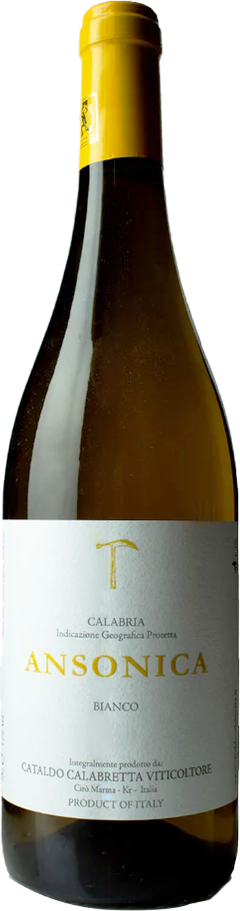 Calabretta Cataldo Ansonica L'Arciglione - Cataldo Calabretta 2025