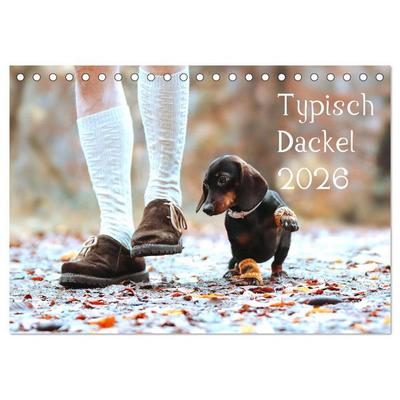 Typisch Dackel 2026 (Tischkalender 2026 DIN A5 quer), CALVENDO Monatskalender