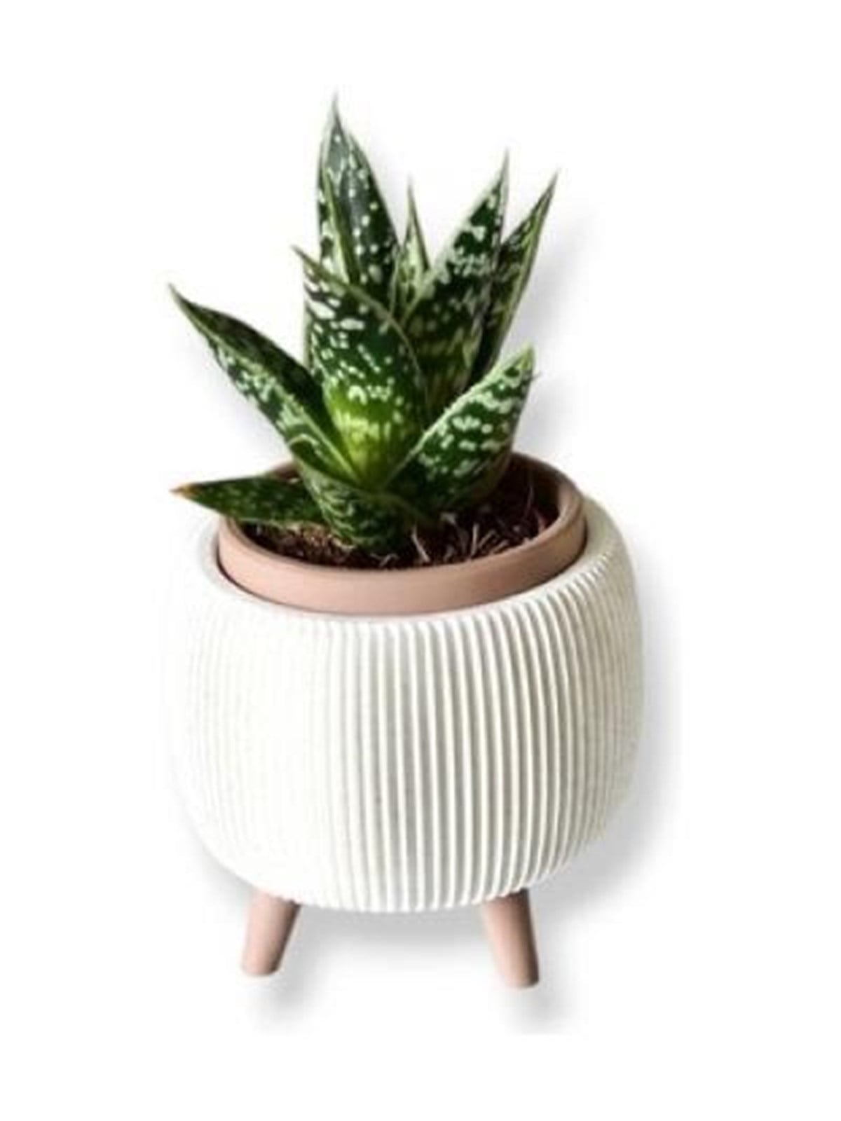 Simiu - Thalor - Kräutertopf mit Beinen - Ø: 6 cm - Weißmarmor/Lehmbraun