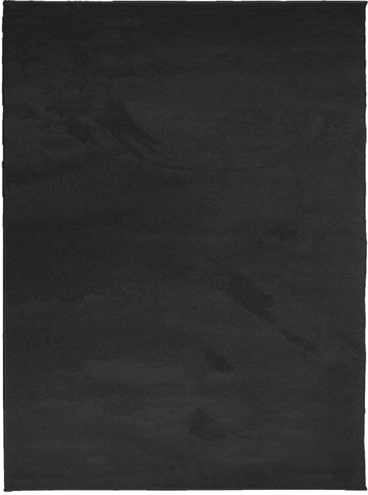Brayden Studio Baia Area Rug Black Rectangle 240 x 340cm
