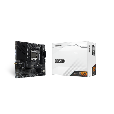 BIOSTAR Mainboard "B850MT2-E DJ", schwarz, B:26cm H:6cm T:28cm, Mainboards