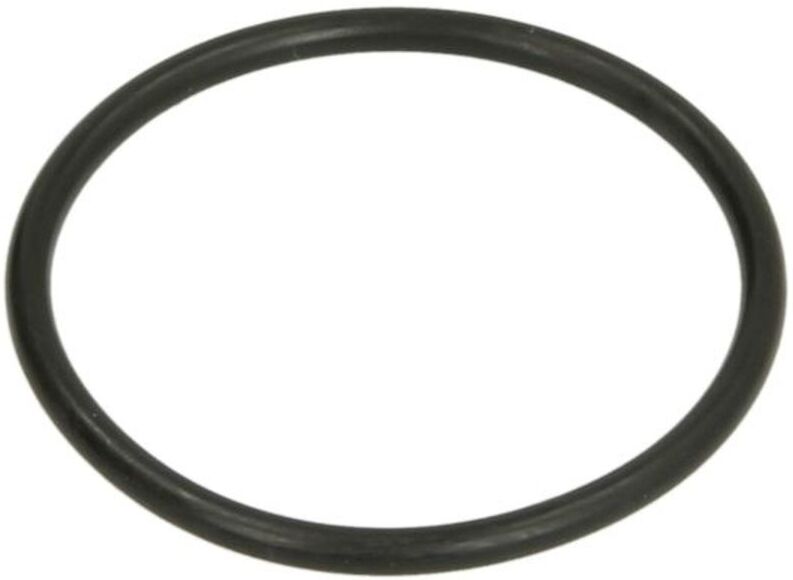 Gummi-O-Rings LEMA LE104390