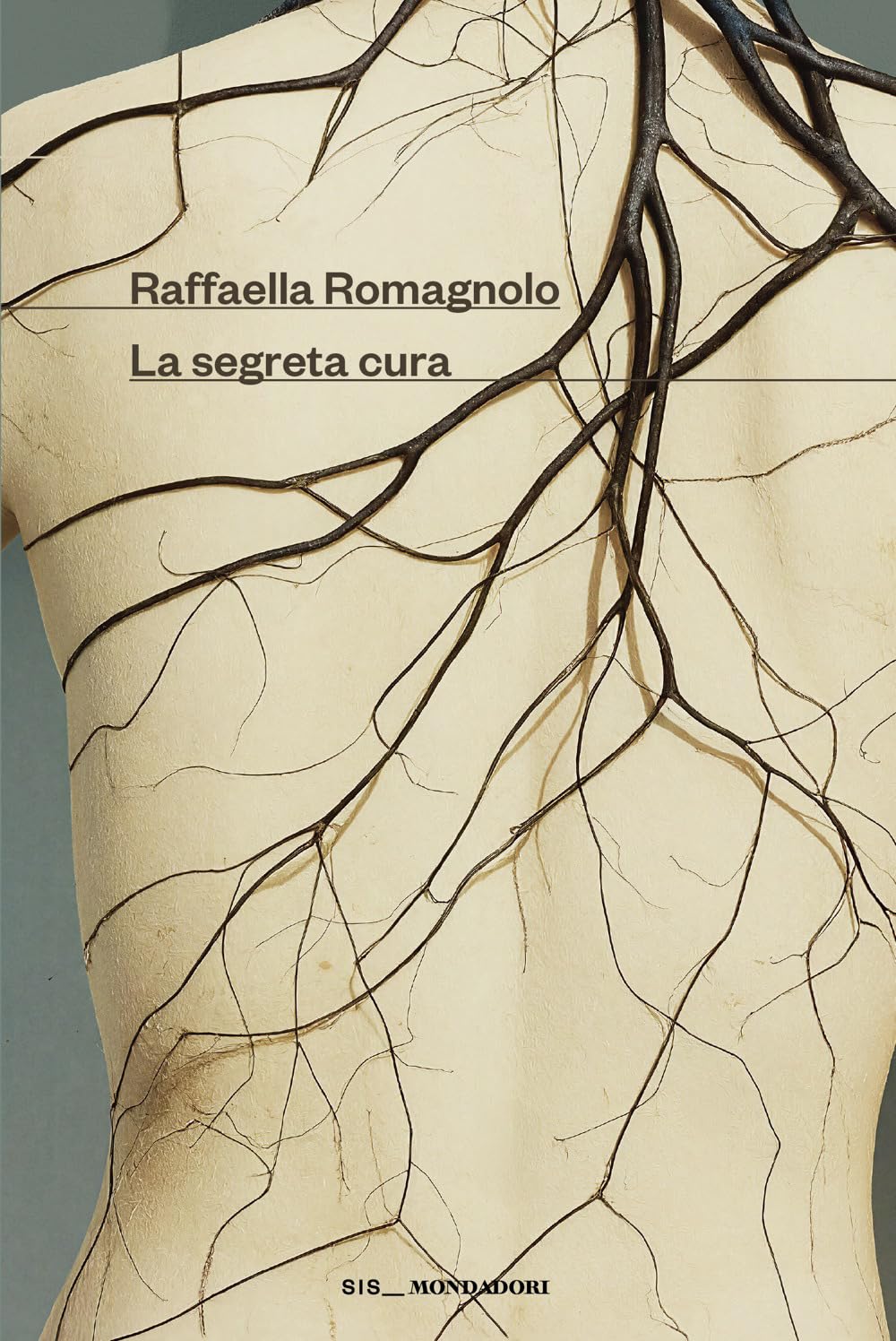 Raffaella Romagnolo - La segreta cura (Scrittori italiani e stranieri) - Preis vom 15.10.2026 23:06:25 h