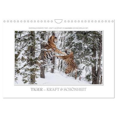 Emotionale Momente: Tiger - Kraft & Schönheit. / CH-Version (Wandkalender 2027 DIN A4 quer), CALVENDO Monatskalender
