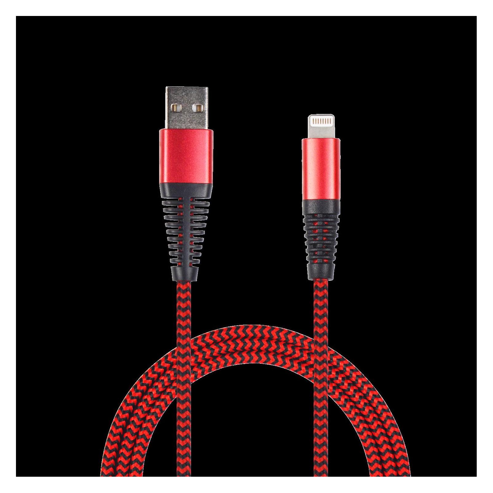 2GO 795946 USB Kabel USB B Lightning (1 m, USB 2.0) (795946)