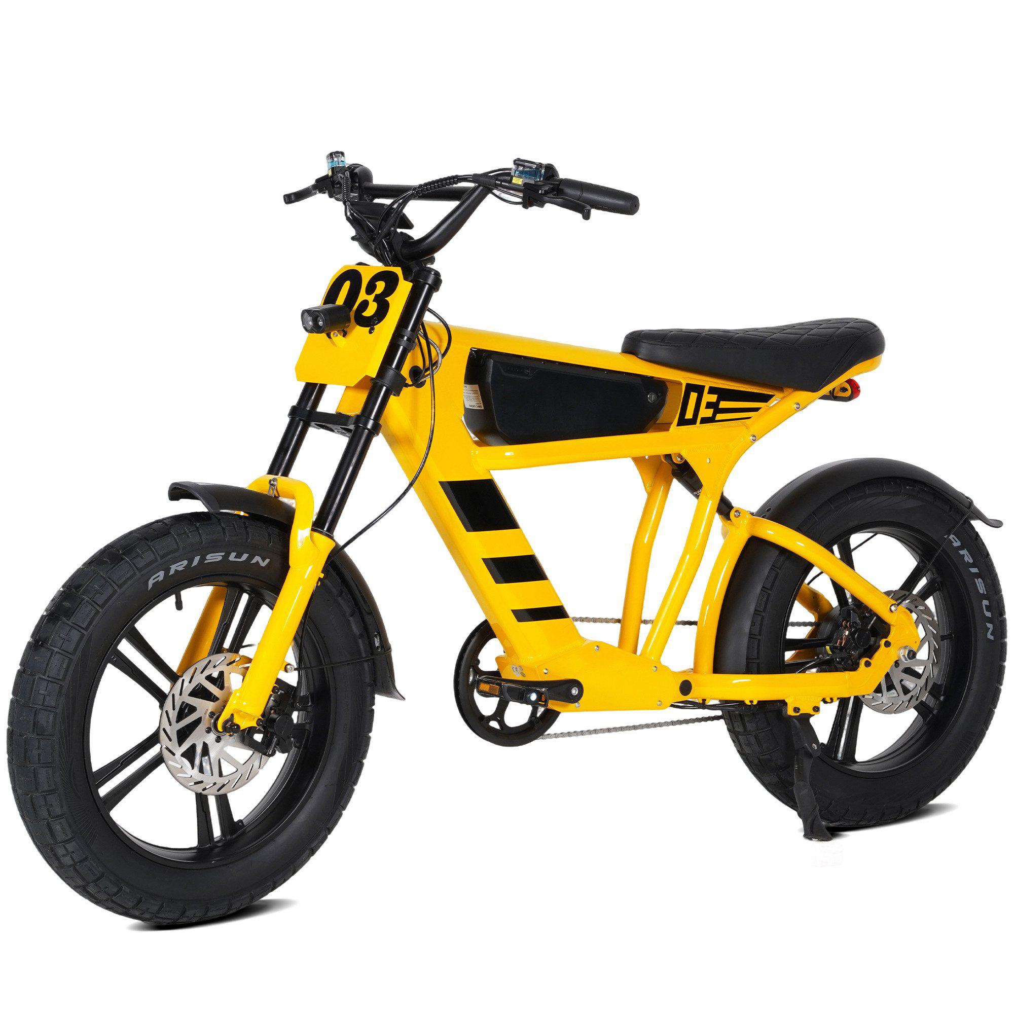E-Bike Cityrad Damen Herren 20x4,0'' Citybike, 873WH Pedelec, 48V 250W, max.120km Kettenschaltung, Heckmotor, 873 Wh, MTB E Mountainbike Pedelec