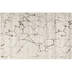 WECONhome Kurzflorteppich Solo Fields WH-00335-670 beige 120x170