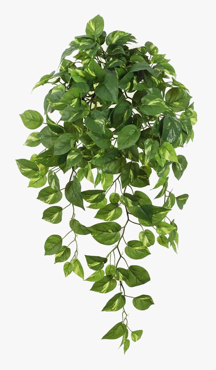 Kunstplant Pothos Groen - Hangplant met stevige steunstaaf - Hoogte: 85 cm