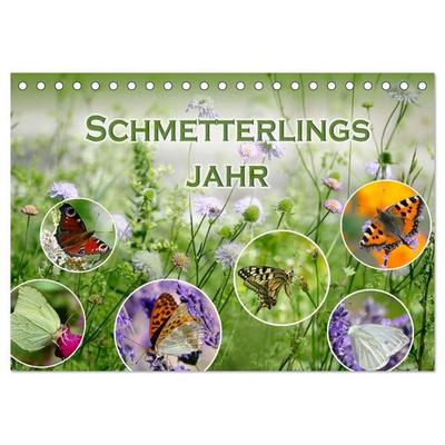 Schmetterlingsjahr (Tischkalender 2027 DIN A5 quer), CALVENDO Monatskalender