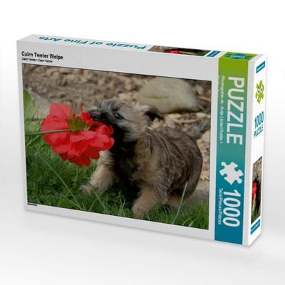 CALVENDO Puzzle Cairn Terrier Welpe | 1000 Teile Lege-Größe 64x48cm Foto-Puzzle für glückliche Stunden