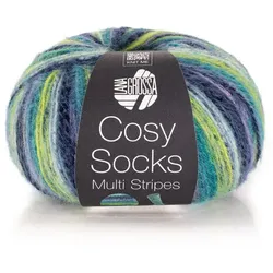 Lana Grossa Sockenwolle Cosy Socks "Multi Stripes"