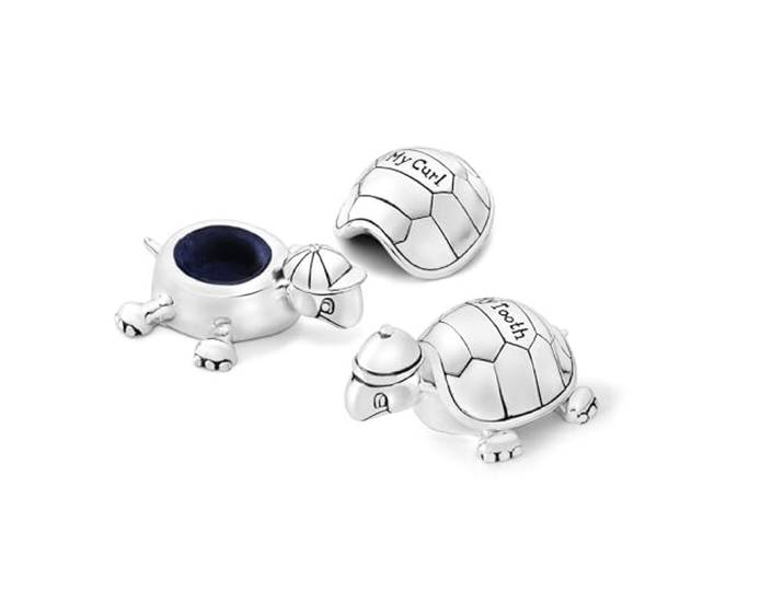 Zilverstad Tand en eerste krul Box Turtle, Zilver