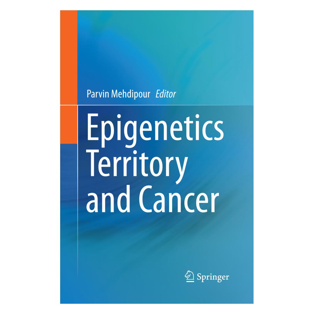 Springer Epigenetics Territory and Cancer (Englisch, Softcover, Parvin Mehdipour) (55864616)