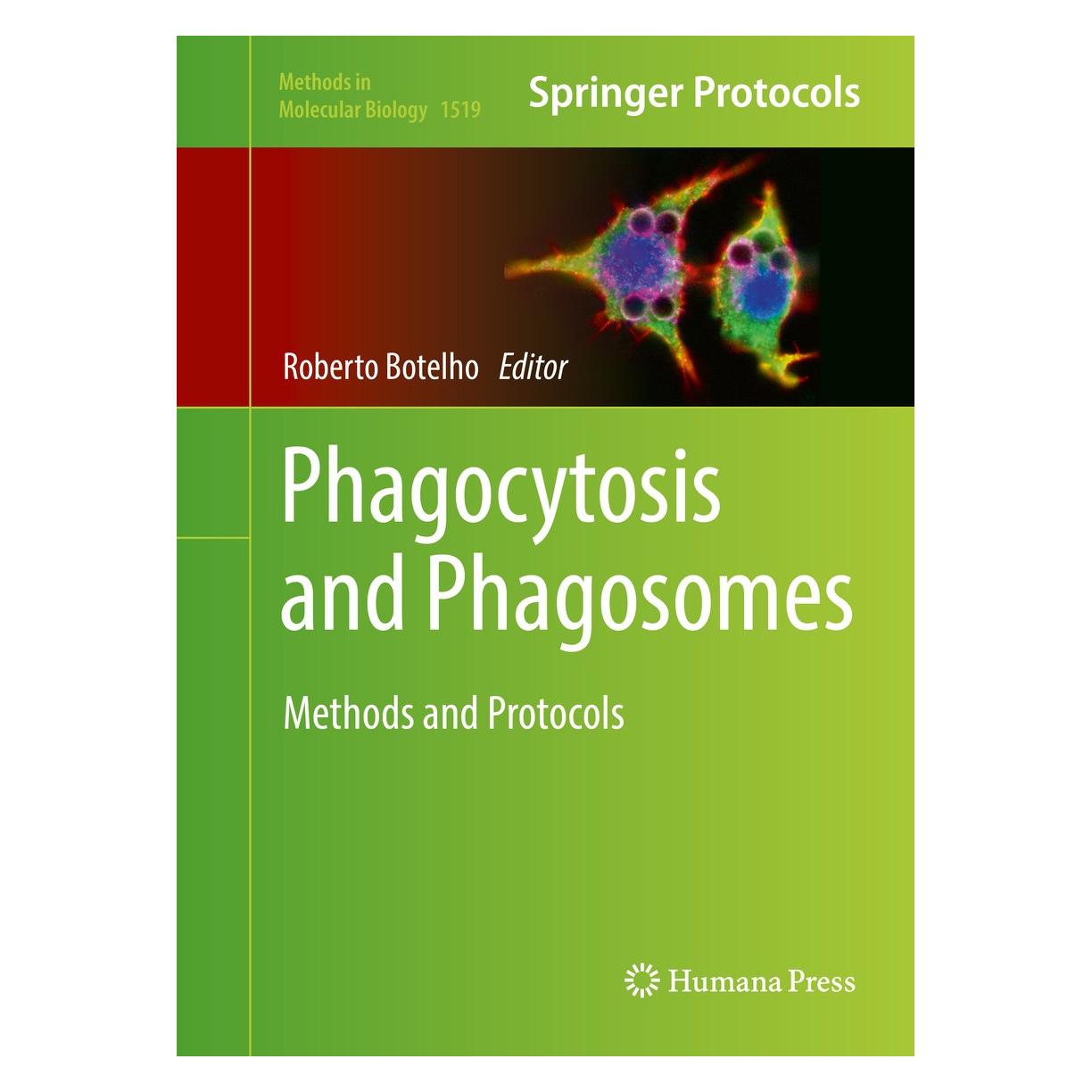 Springer Phagocytosis and Phagosomes (9781493965793)