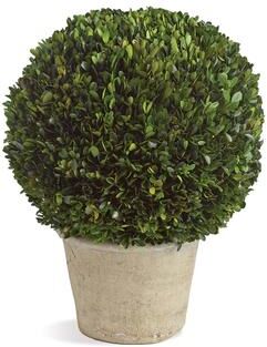 Porch & Petal "Boxwood 12"" Ball In Pot"