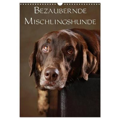 Bezaubernde Mischlingshunde (Wandkalender 2027 DIN A3 hoch), CALVENDO Monatskalender