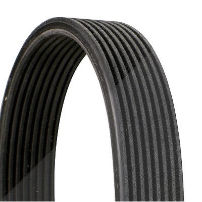 Continental Ctam Keilrippenriemen [Hersteller-Nr. 8DPK1833] für BMW