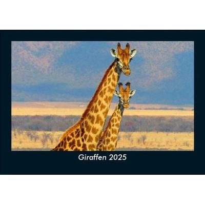 Giraffen 2025 Fotokalender DIN A5