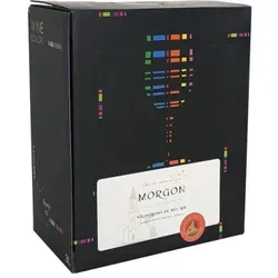 BIB 3L - Morgon  - Les Clochers - Vignerons de Bel Air