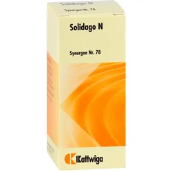 Synergon Komplex 78 Solidago N Tropfen