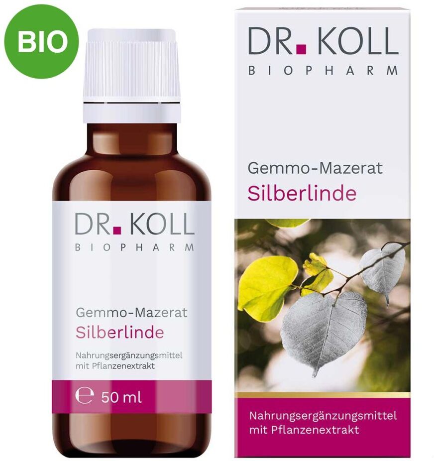 Gemmo Mazerat Silberlinde Doktor koll Tilia Tomentosa