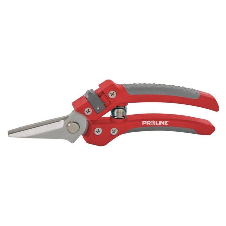 Proline Top quality flower pruning, inox, 8 inches, soft (40086)
